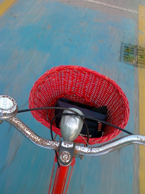 Passeggiando in bicicletta