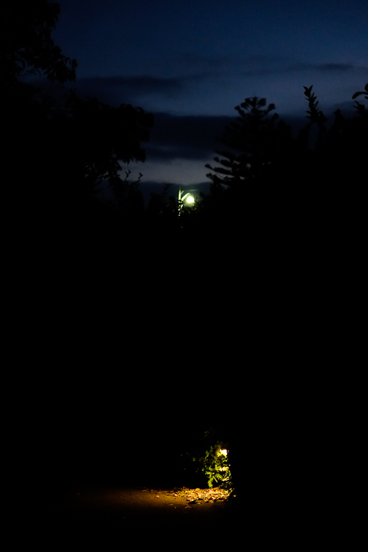 luce6