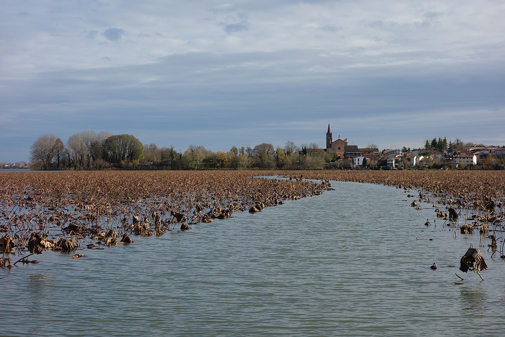 Il sentiero nel lago