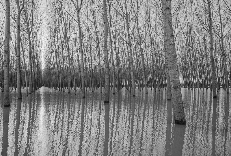 dicembre 2013