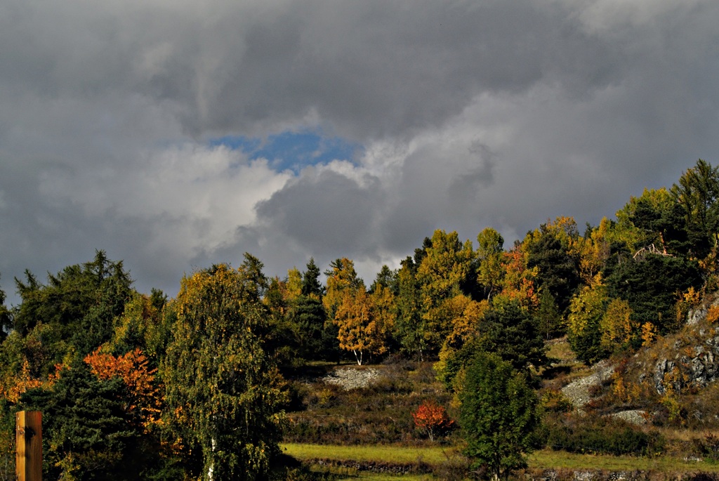 Alcuni colori d'autunno