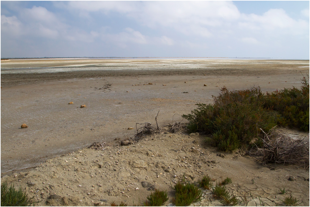 Settembre in Camargue