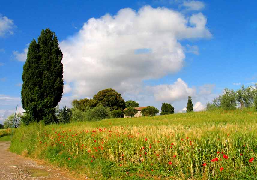 Giugno_2