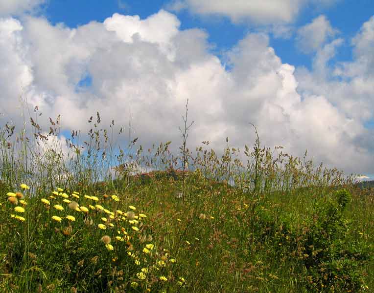 Giugno_3