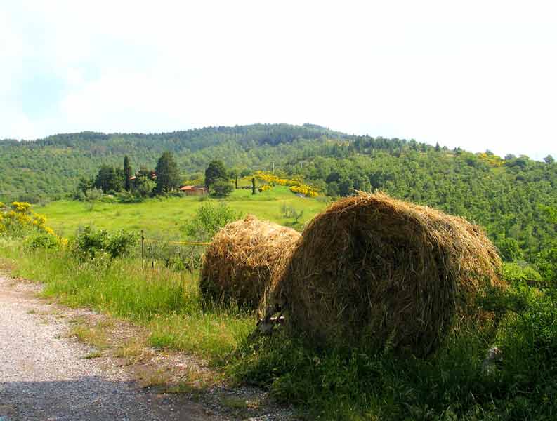 Giugno_4