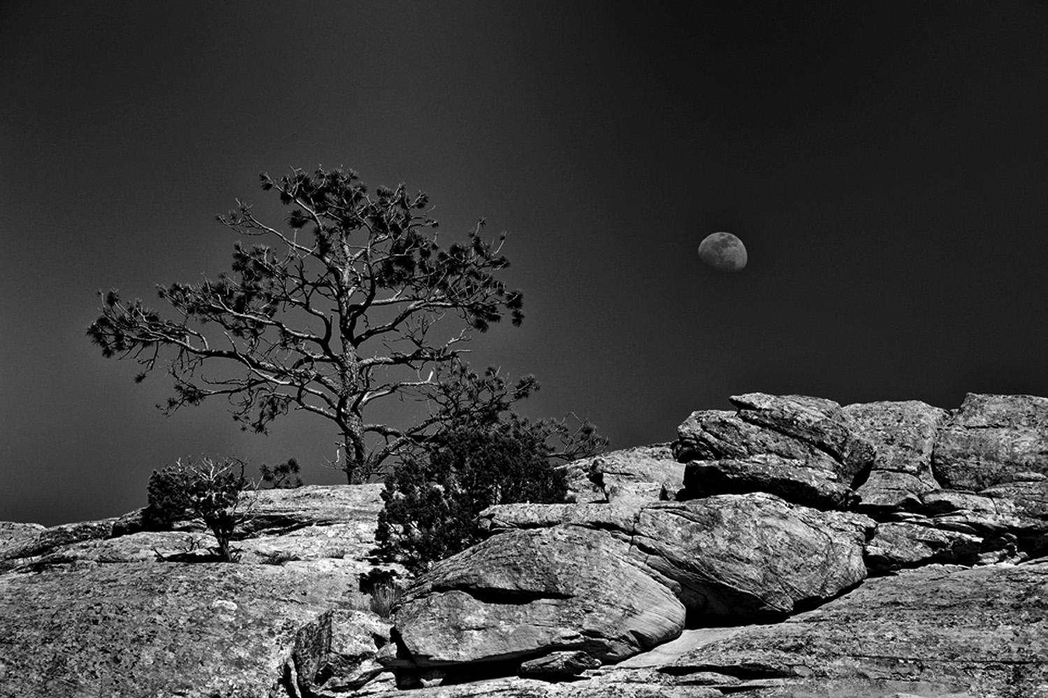 Omaggio ad Ansel Adams