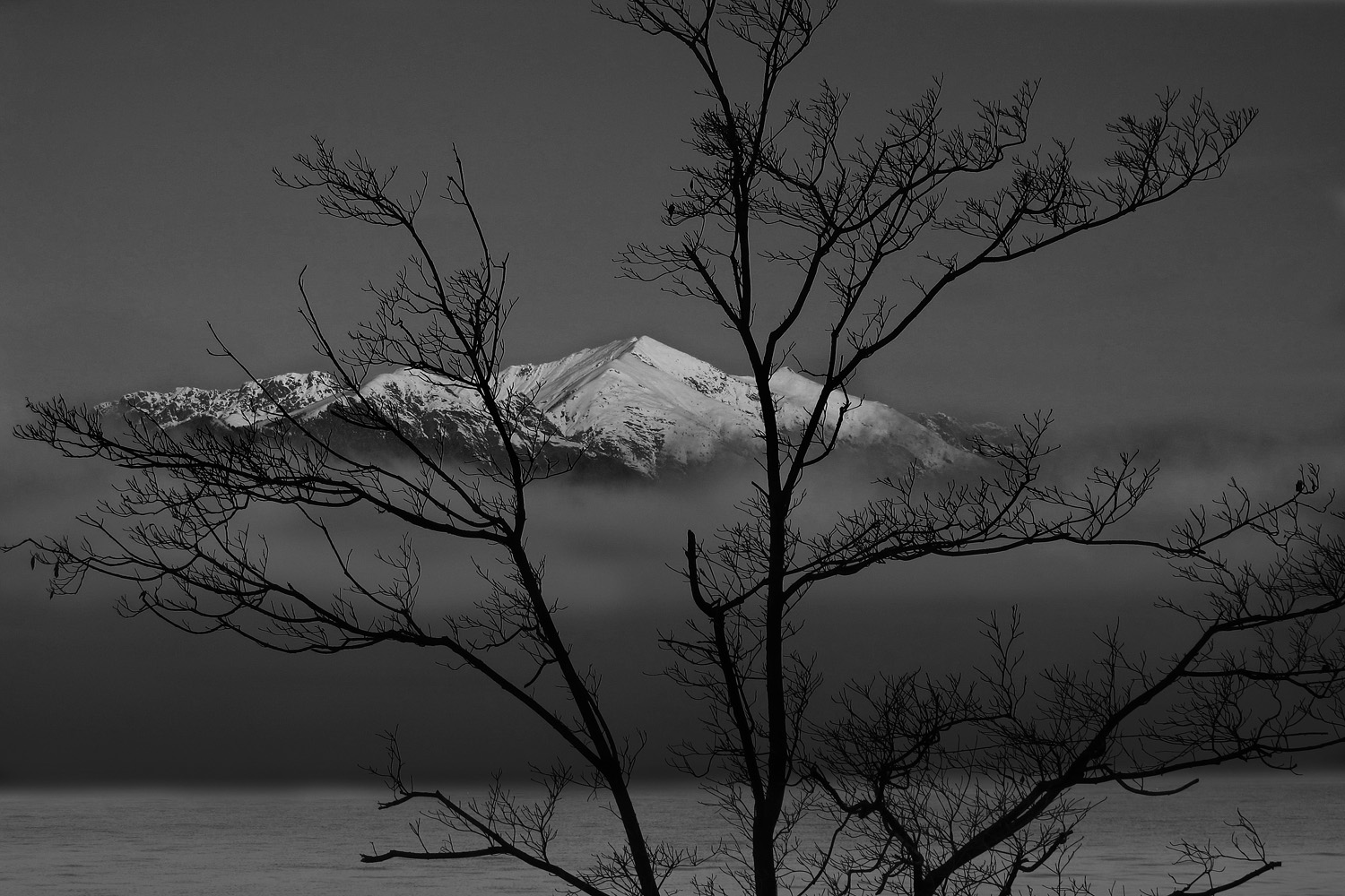 Like_a_little_fuji