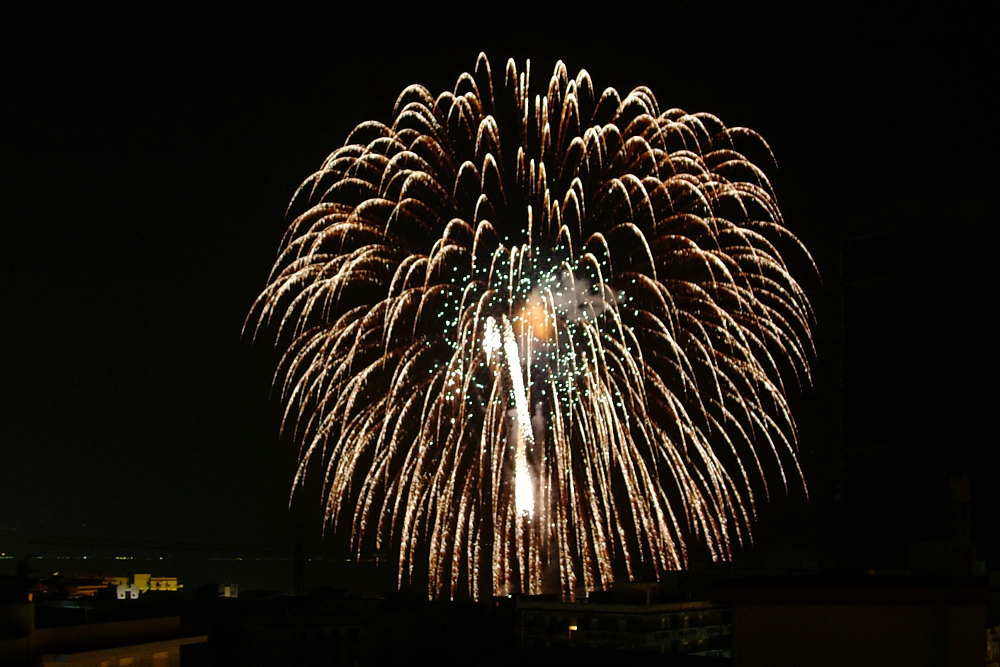 Fuochi d'artificio _3 (il salice)