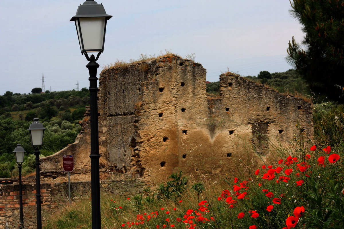 Ruderi in fiore