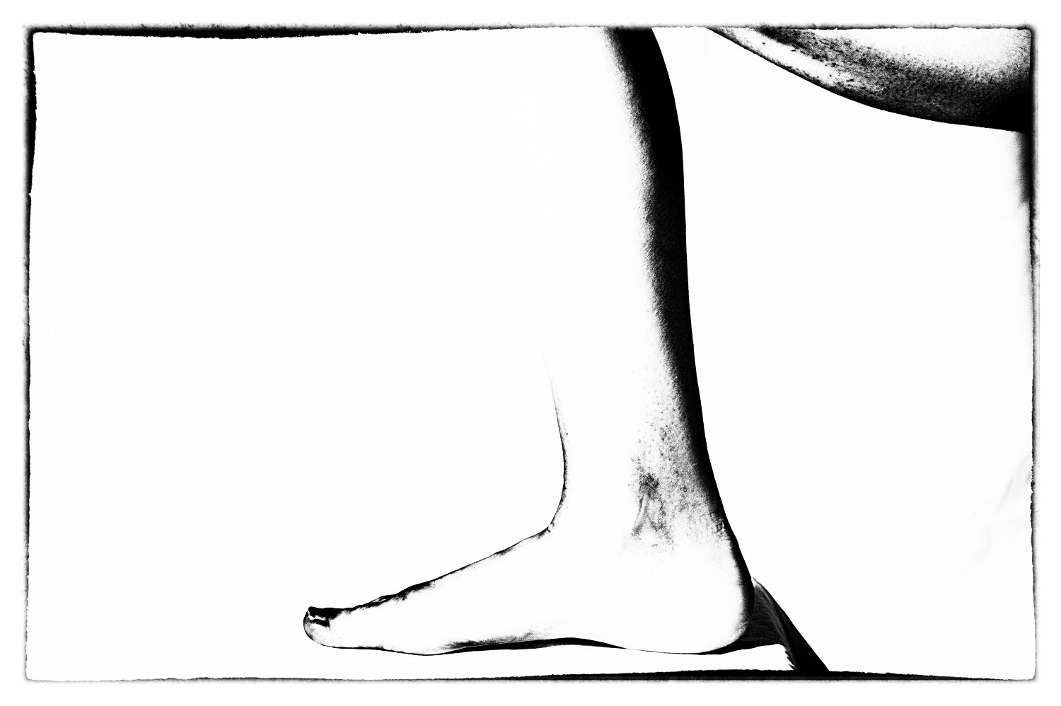 Grafismo