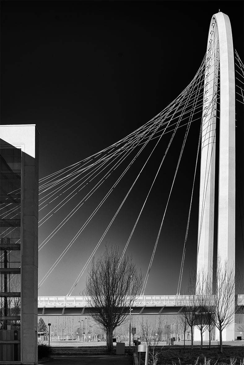 Ponti Calatrava - 2