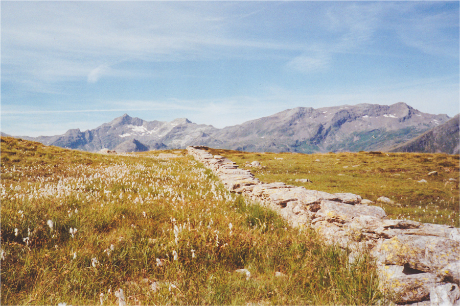 Rifugio Bertacchi - Spluga SO