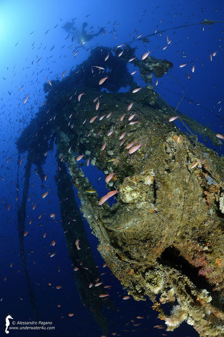 Wreck "Valfiorita"