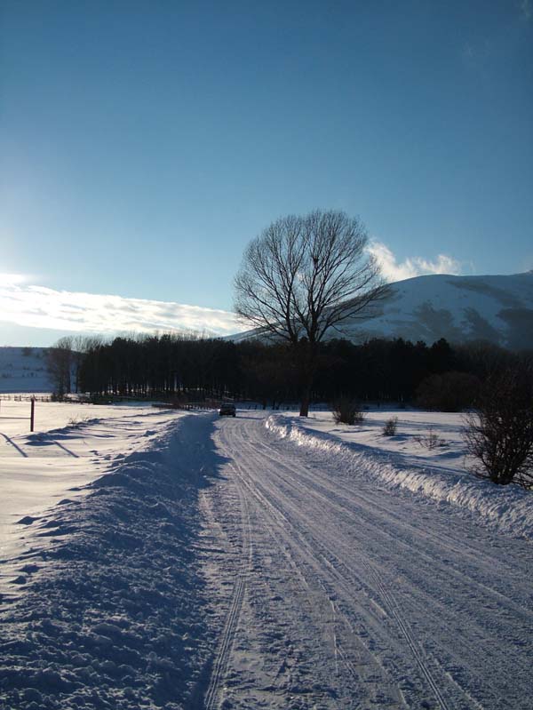 OVINDOLI 4
