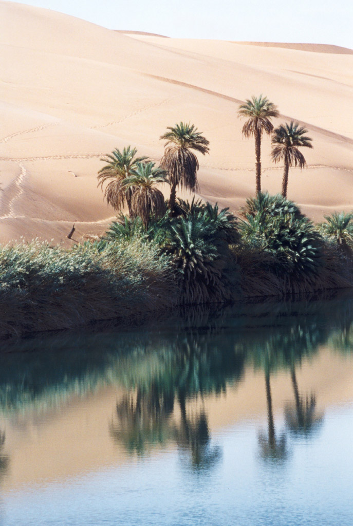 Oasi in Libia
