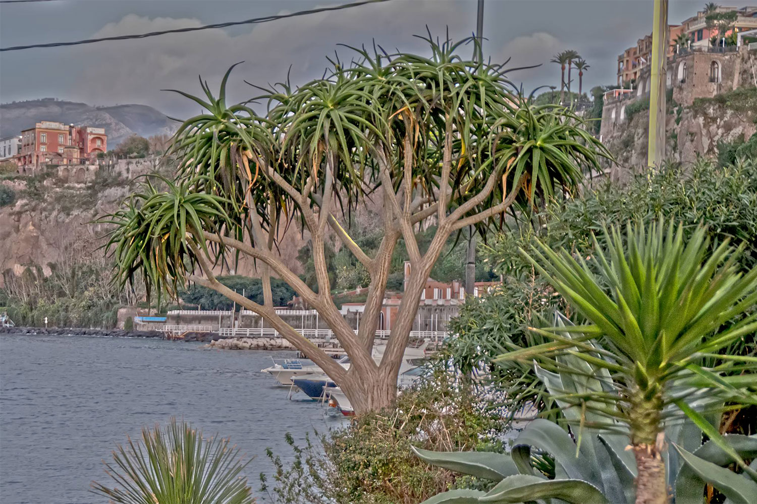 Sorrento porto