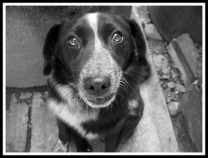Trudi occhioni...