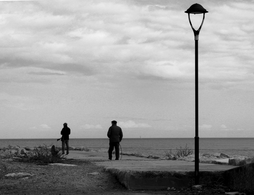mare