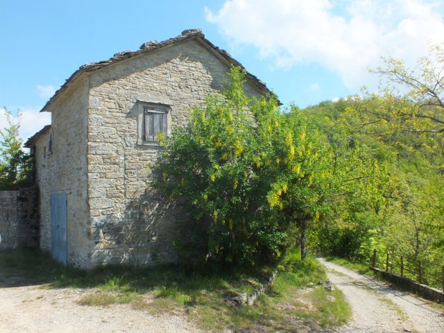 Profondit di campo