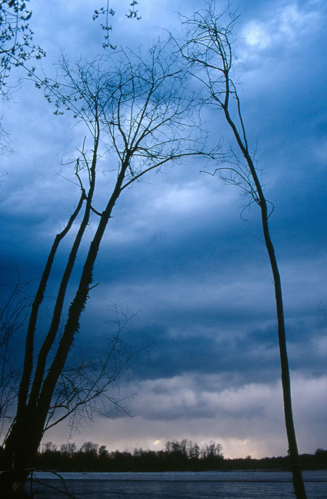 Temporale