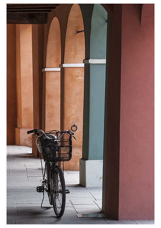 savignano3