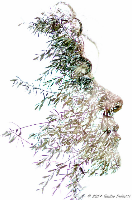 Double Exposure