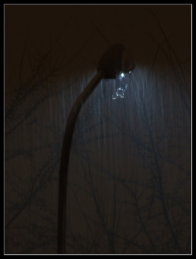 effetti di luce
