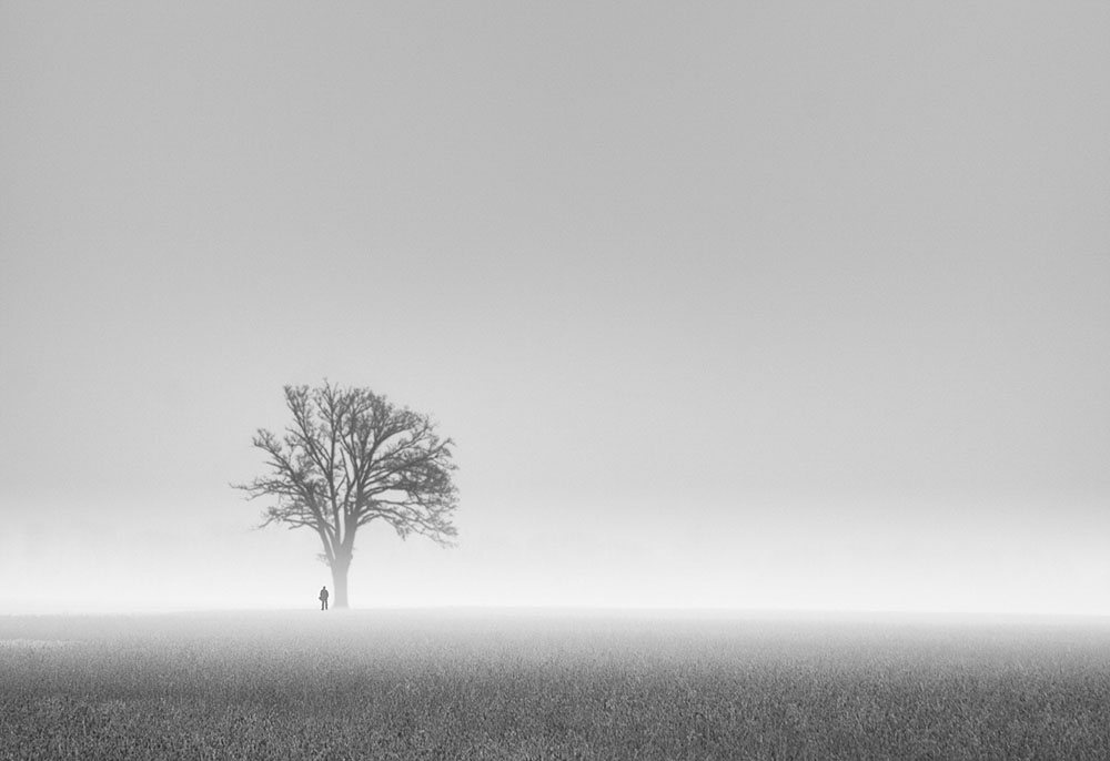 la nebbia come conforto alla solitudine