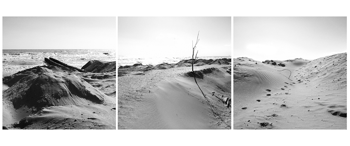 #lifefromMARs#dune#stranedune#SEQUENCE#mi.ma.