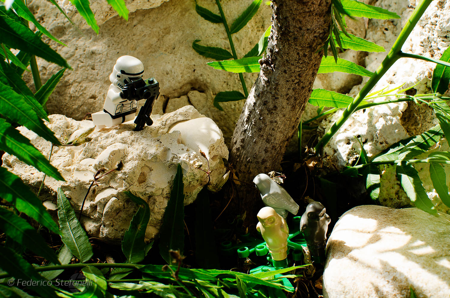 Clone Fotografo
