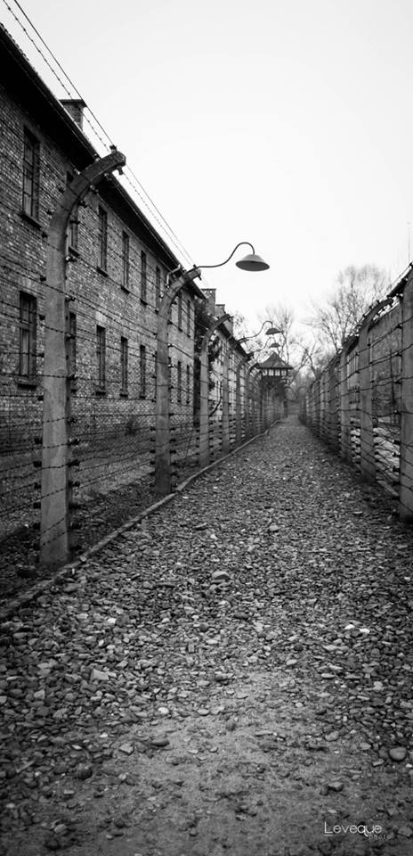 Auschwitz...una storia vera