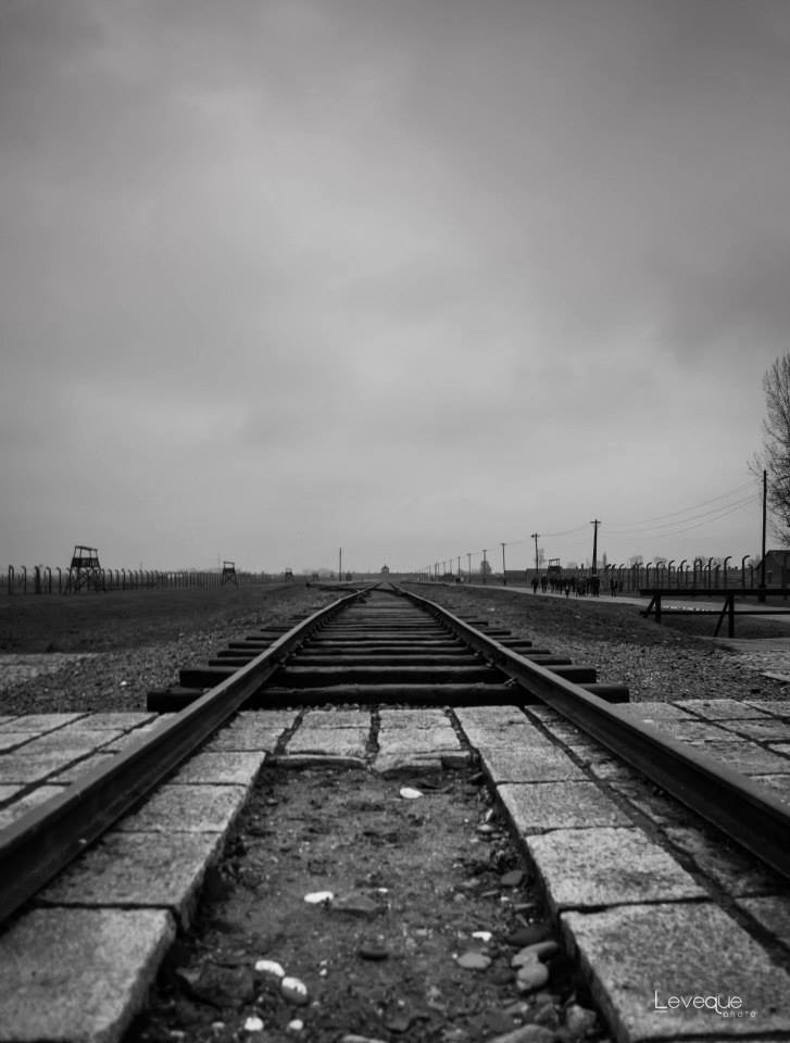 Auschwitz...una storia vera