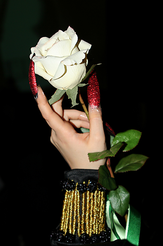 rosa nel pugno