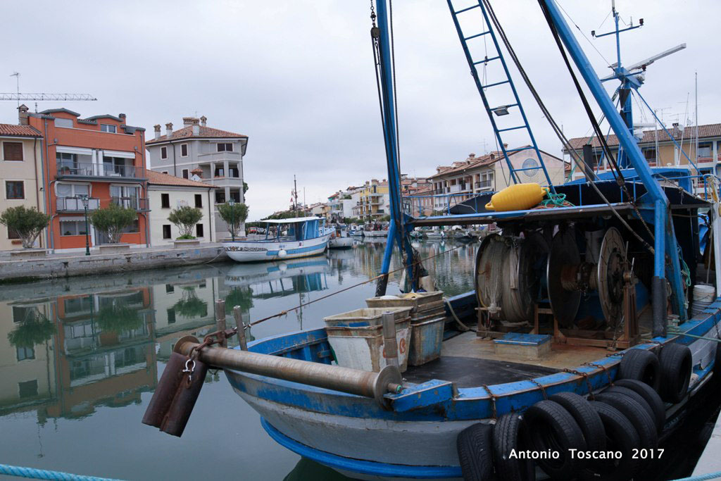 Grado