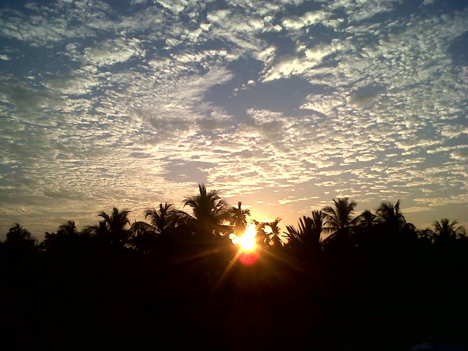 The sunset