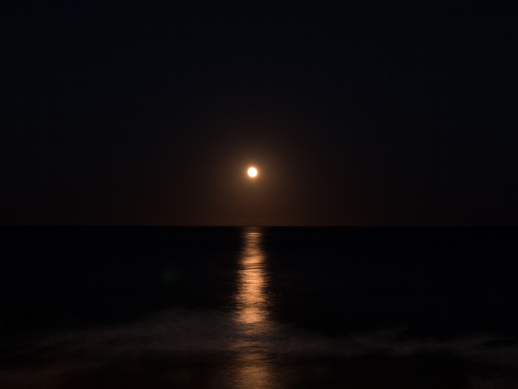 notturno con luna piena