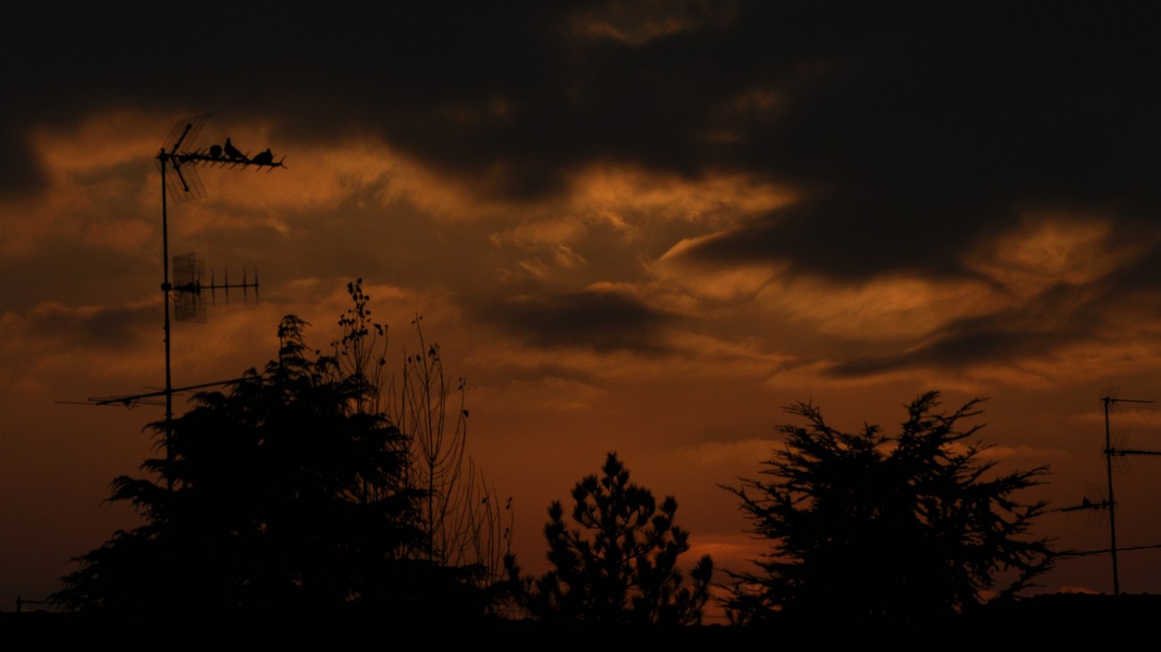 Tramonto