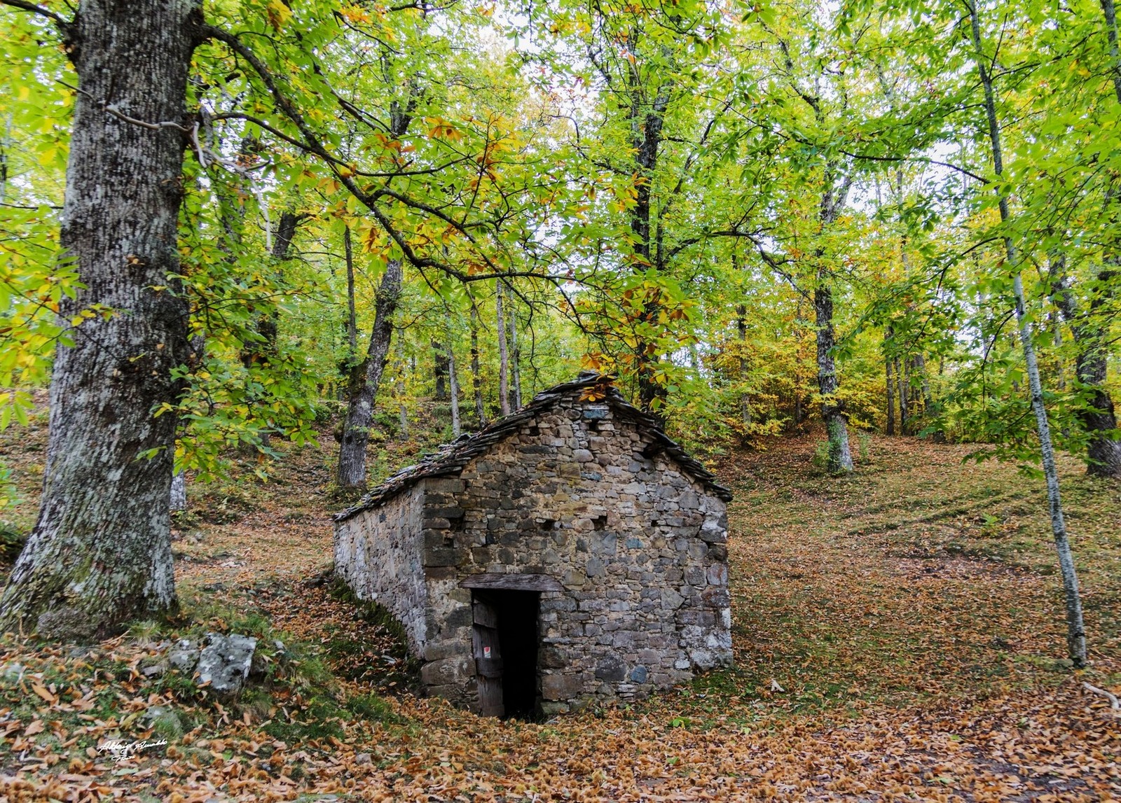 Casetta di Montagna2