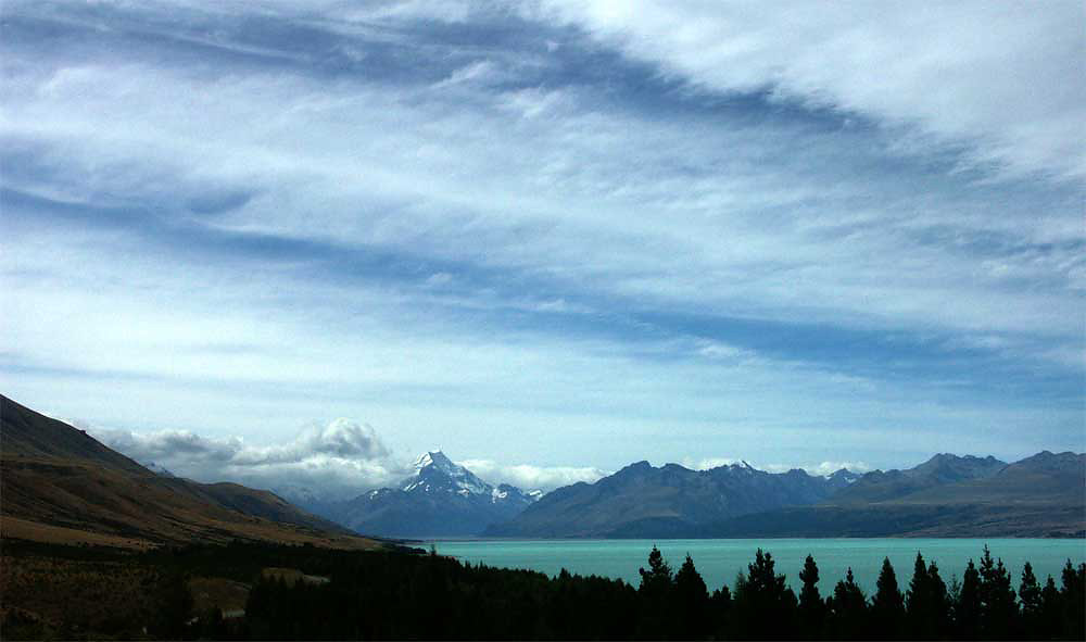 nz17