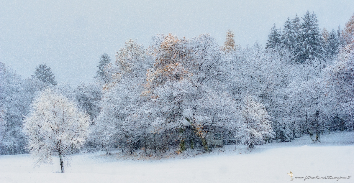 Prima neve