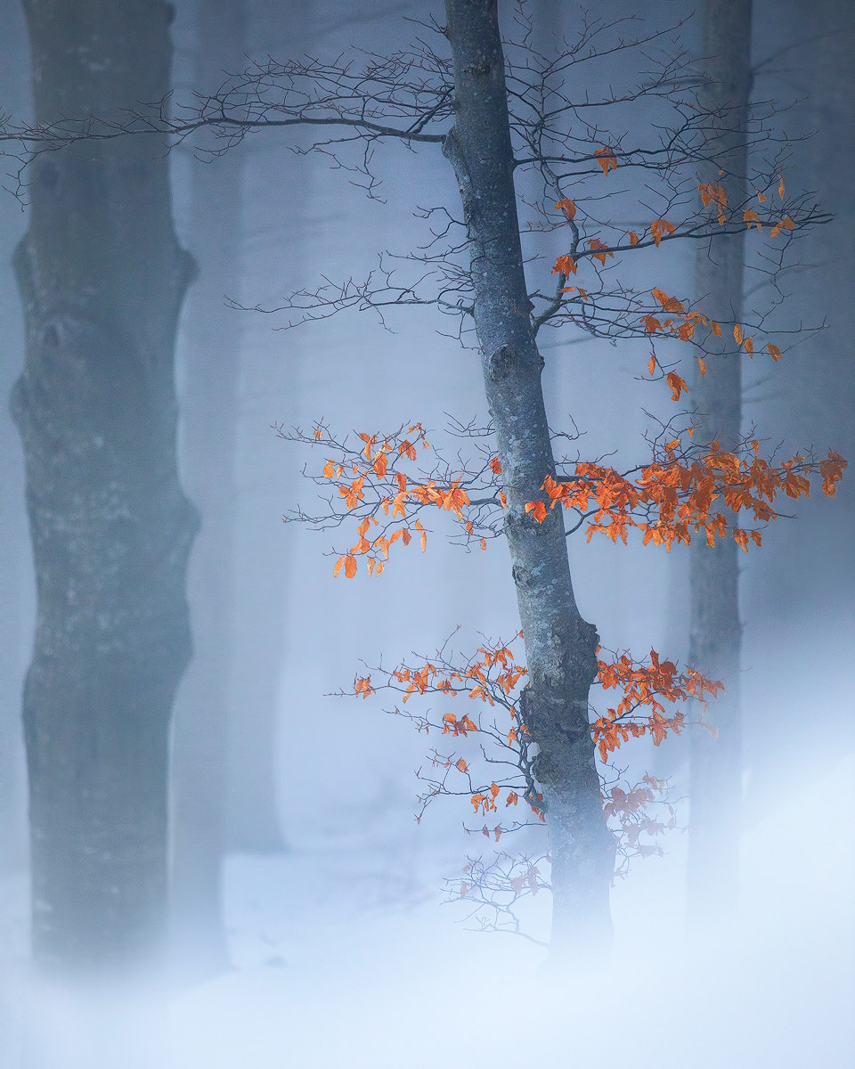 La nostra foto migliore del 2018 su photo4u.it