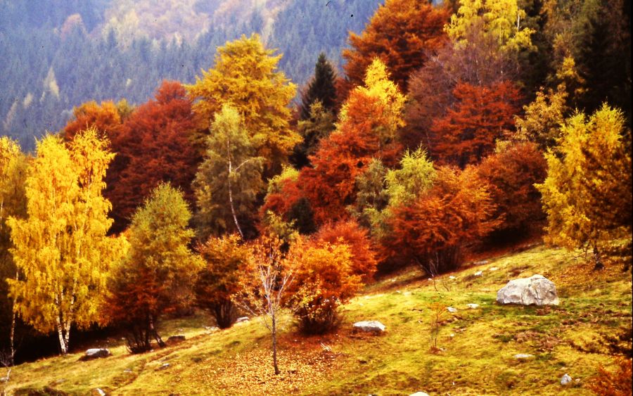 opera di A.Utunno, autore che dipinge solo in esterni