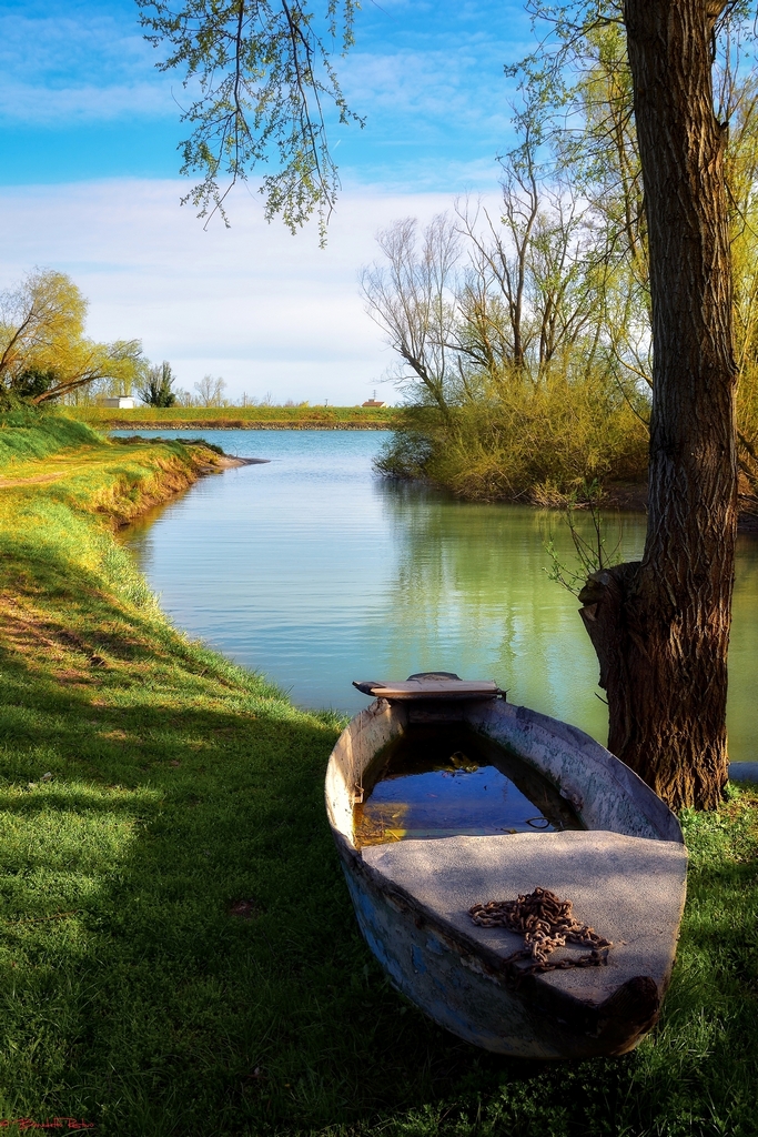 lungo le rive dell'Adige.....