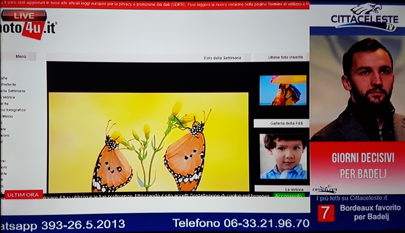 screen