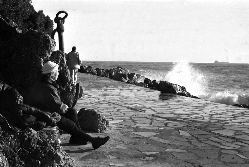 mare