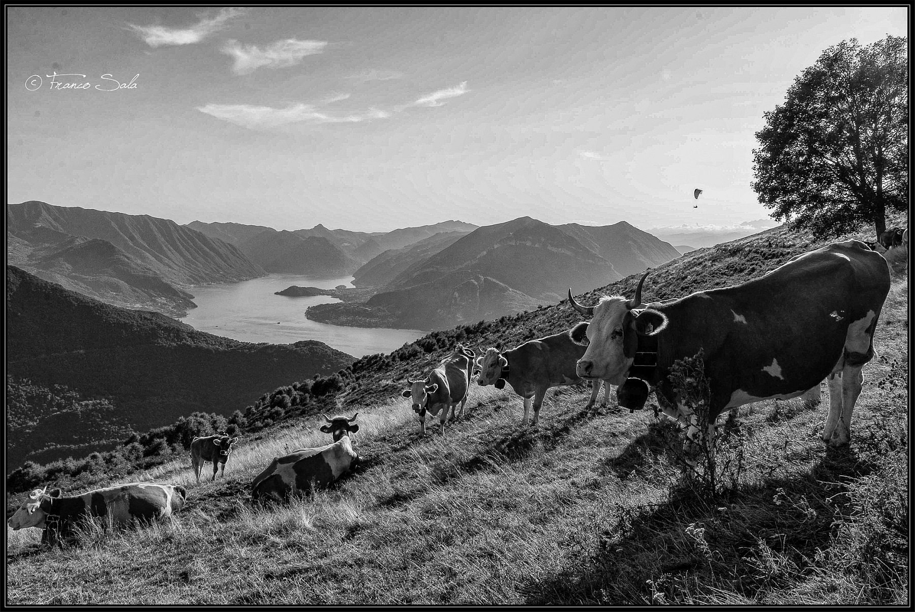 Alpe Giumello