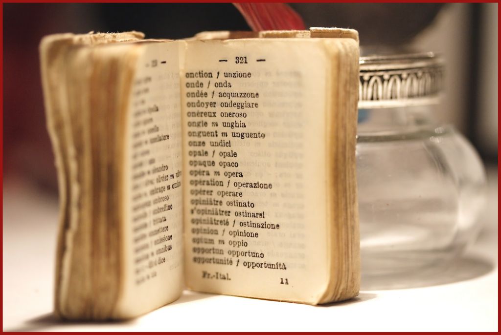 dizionario antico in miniatura
