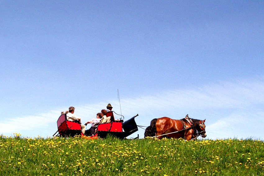 passeggiata in carrozza