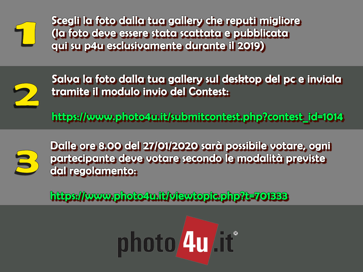 La nostra foto migliore del 2019 su photo4u.it