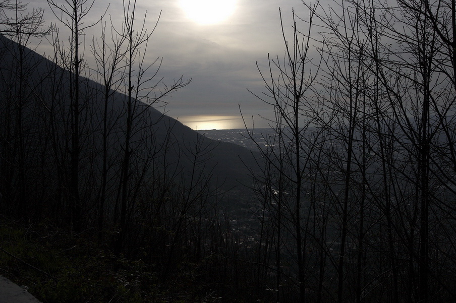 Panorama serale